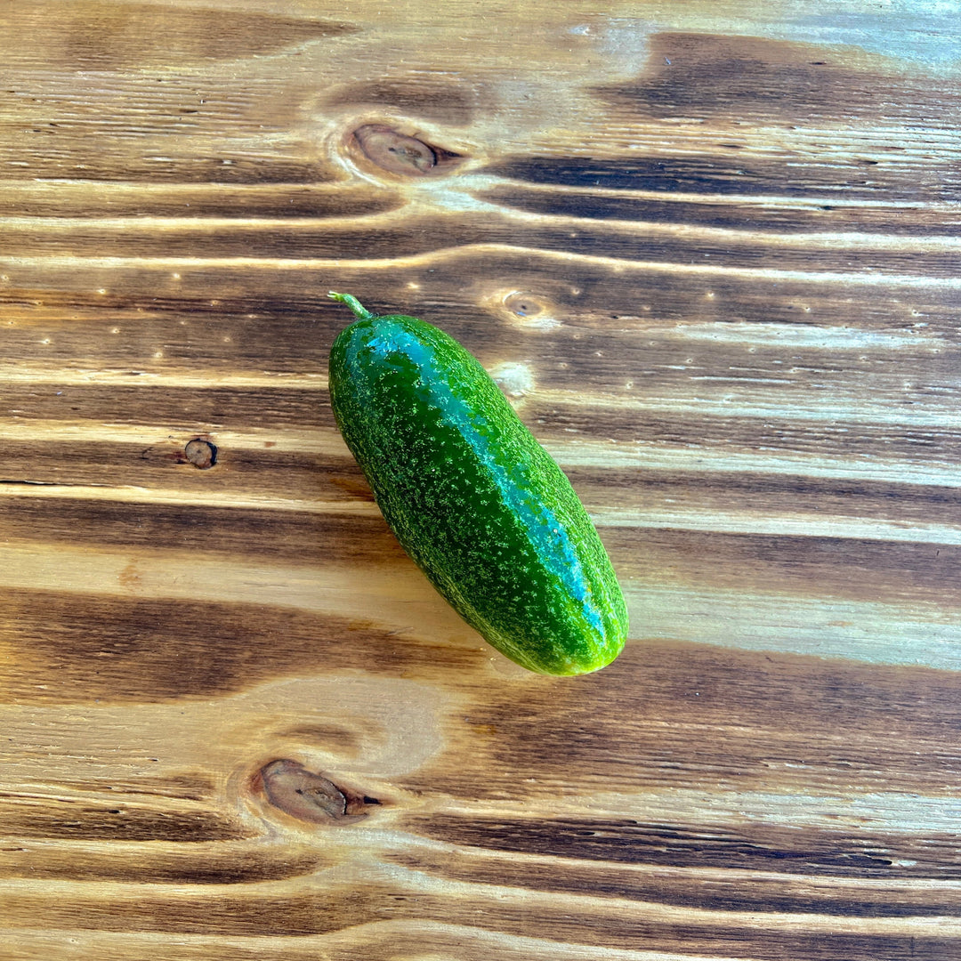 Mini Cucumber